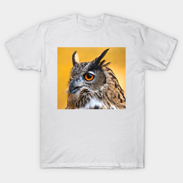 Eurasian Eagle Owl T-Shirt by Scubagirlamy